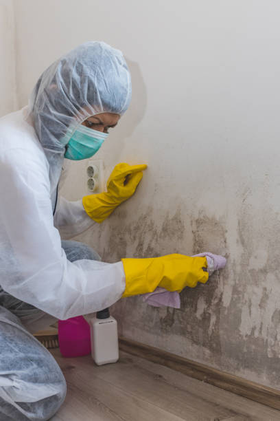 Forensic Mold Investigation in Orange Beach, AL