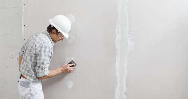 Mold Removal for HVAC Installations in Orange Beach, AL
