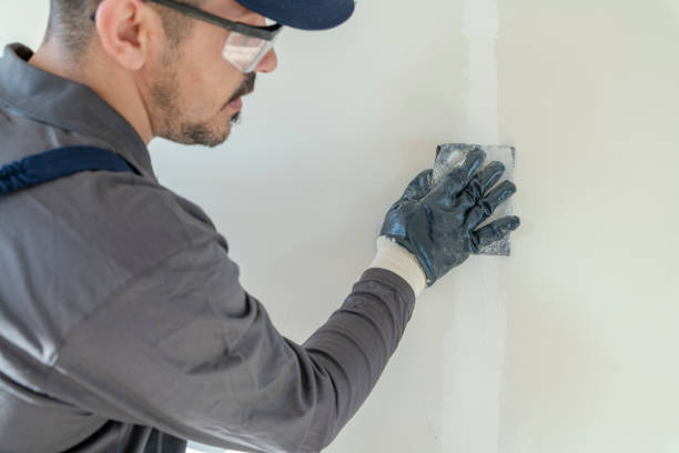 Best Biohazard Mold Removal  in Orange Beach, AL