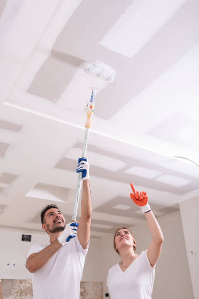 Best Comprehensive Air Testing for Mold Contaminants  in Orange Beach, AL
