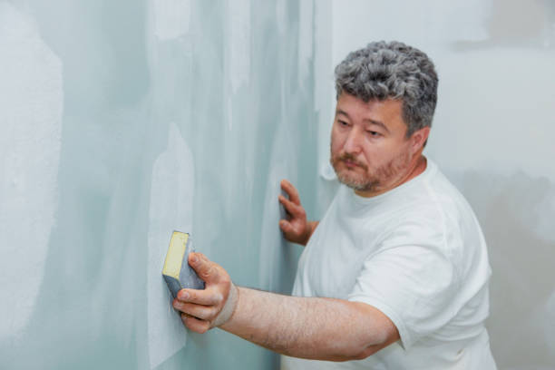 Reliable Orange Beach, AL Mold Removal Solutions