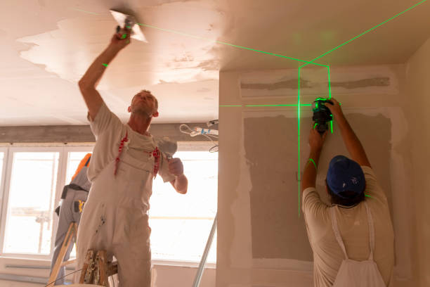 Best Black Mold Removal  in Orange Beach, AL